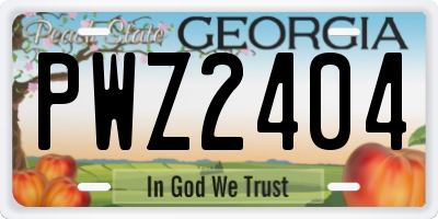 GA license plate PWZ2404