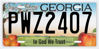 GA license plate PWZ2407