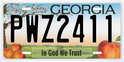 GA license plate PWZ2411