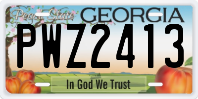 GA license plate PWZ2413