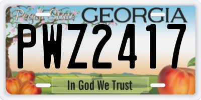 GA license plate PWZ2417
