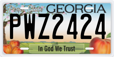 GA license plate PWZ2424