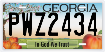 GA license plate PWZ2434