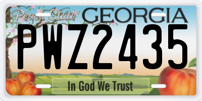 GA license plate PWZ2435