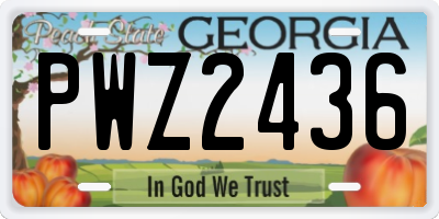 GA license plate PWZ2436