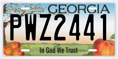 GA license plate PWZ2441