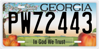 GA license plate PWZ2443