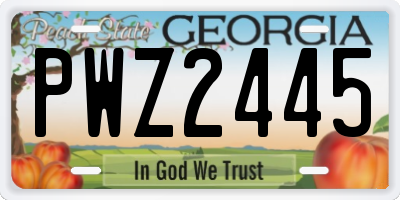GA license plate PWZ2445