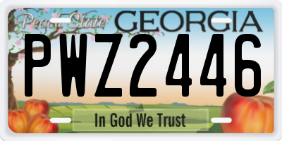 GA license plate PWZ2446