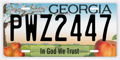 GA license plate PWZ2447