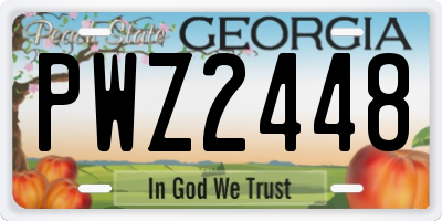GA license plate PWZ2448