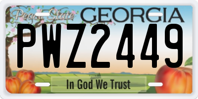 GA license plate PWZ2449
