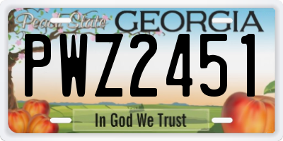 GA license plate PWZ2451