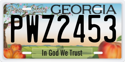 GA license plate PWZ2453