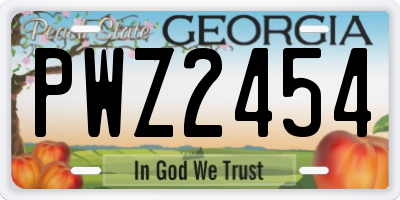 GA license plate PWZ2454