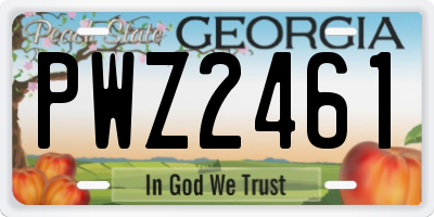 GA license plate PWZ2461