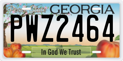 GA license plate PWZ2464