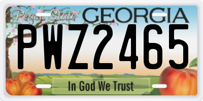 GA license plate PWZ2465