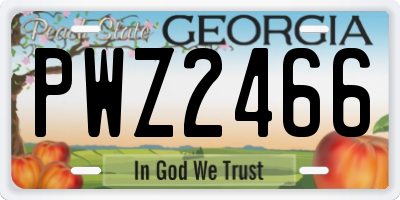 GA license plate PWZ2466