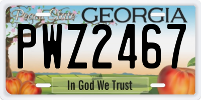 GA license plate PWZ2467