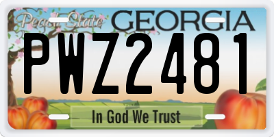 GA license plate PWZ2481