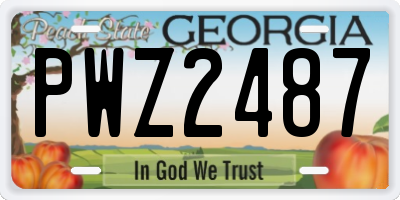 GA license plate PWZ2487
