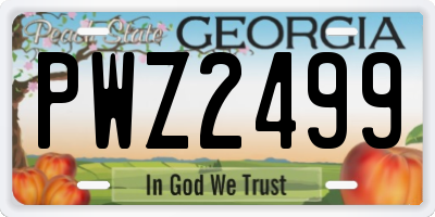 GA license plate PWZ2499