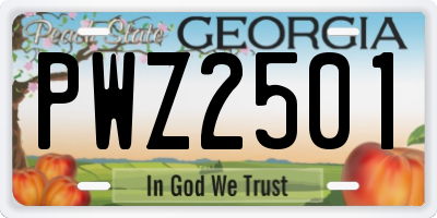 GA license plate PWZ2501