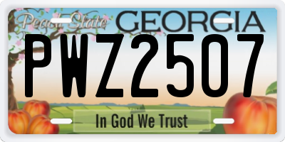 GA license plate PWZ2507