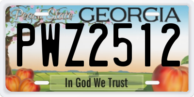 GA license plate PWZ2512