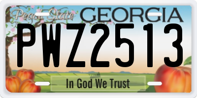 GA license plate PWZ2513