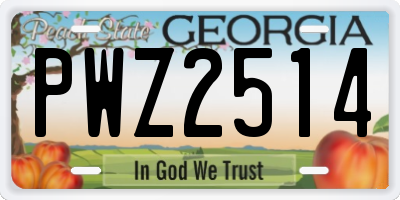 GA license plate PWZ2514