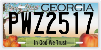 GA license plate PWZ2517