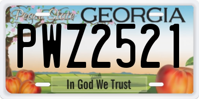 GA license plate PWZ2521