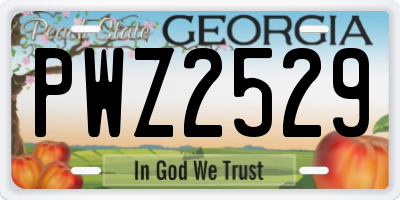 GA license plate PWZ2529