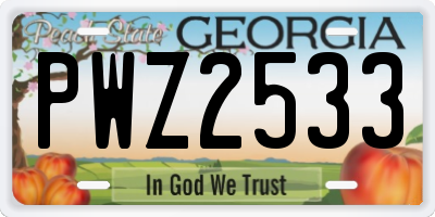 GA license plate PWZ2533