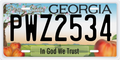 GA license plate PWZ2534