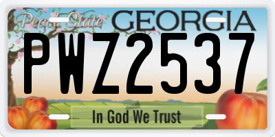 GA license plate PWZ2537