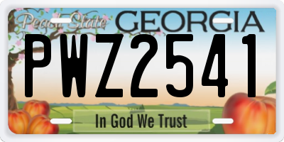 GA license plate PWZ2541