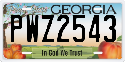 GA license plate PWZ2543