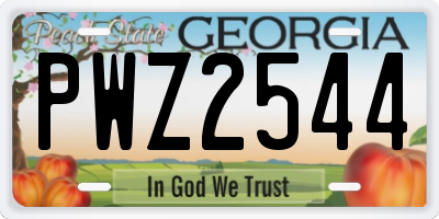 GA license plate PWZ2544