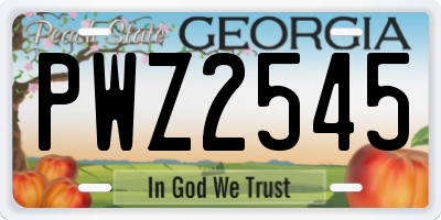 GA license plate PWZ2545