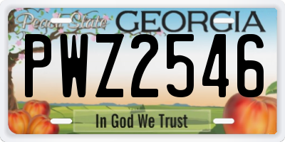 GA license plate PWZ2546