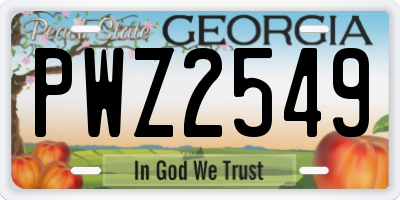 GA license plate PWZ2549