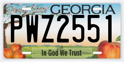 GA license plate PWZ2551