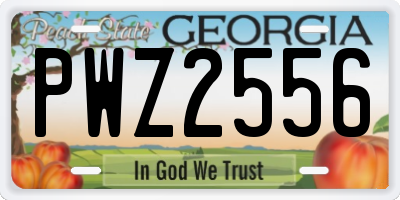 GA license plate PWZ2556