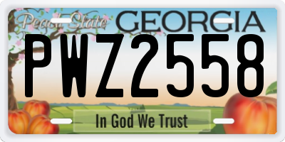 GA license plate PWZ2558