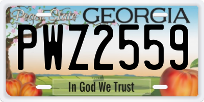 GA license plate PWZ2559