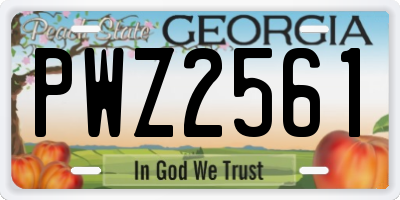GA license plate PWZ2561