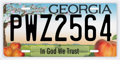 GA license plate PWZ2564